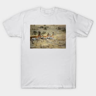 Antelope Wild and Free ~ Sierra Co, New Mexico T-Shirt